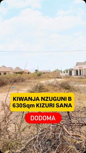 Kiwanja kinauzwa Nzuguni B Chuo, Dodoma (625 sqm)