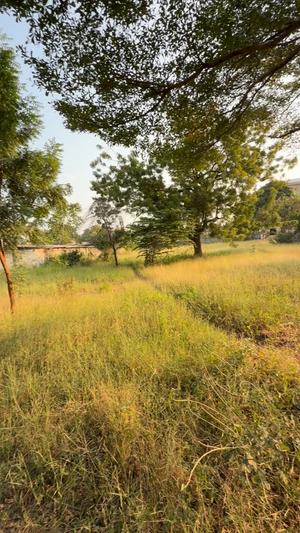 Plot for sale in Mbezi Beach, Dar Es Salaam sqm 2000 Plot for sale in Mbezi Beach, Dar Es Salaam sqm 2000