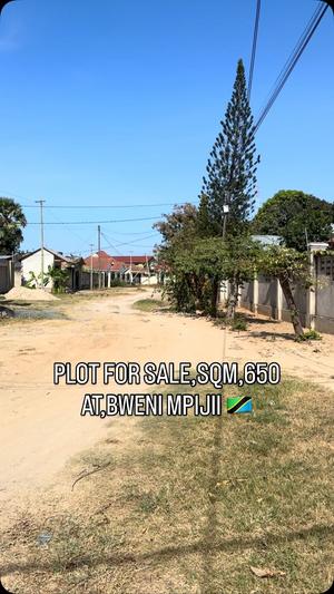 Kiwanja kinauzwa Bweni Mpiji, Tanga (650 sqm) Kiwanja kinauzwa Bweni Mpiji, Tanga (650 sqm)