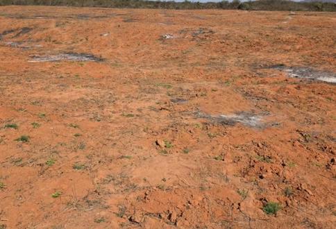 Farm for Sale in Udom nghonghonha, Dodoma (6 acre)