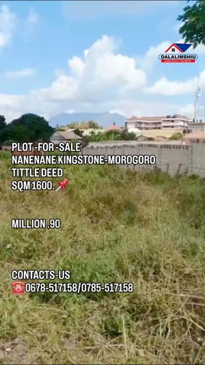 Plot for sale in Nanenane Kingstone, Dodoma sqm 1600 Plot for sale in Nanenane Kingstone, Dodoma sqm 1600