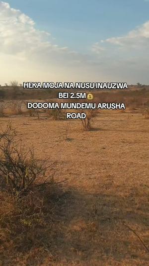 Farm for Sale in Mundemu, Dodoma (1.5 acre)