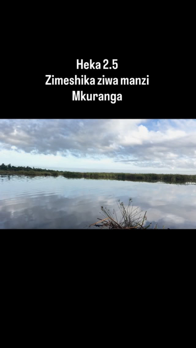 Nyumba ya chumba kimoja inauzwa Kimanzichana, Pwani Nyumba ya chumba kimoja inauzwa Kimanzichana, Pwani
