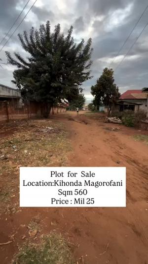 Residential Plot for Sale in Kihonda Maghorofani, Morogoro (560 sqm)