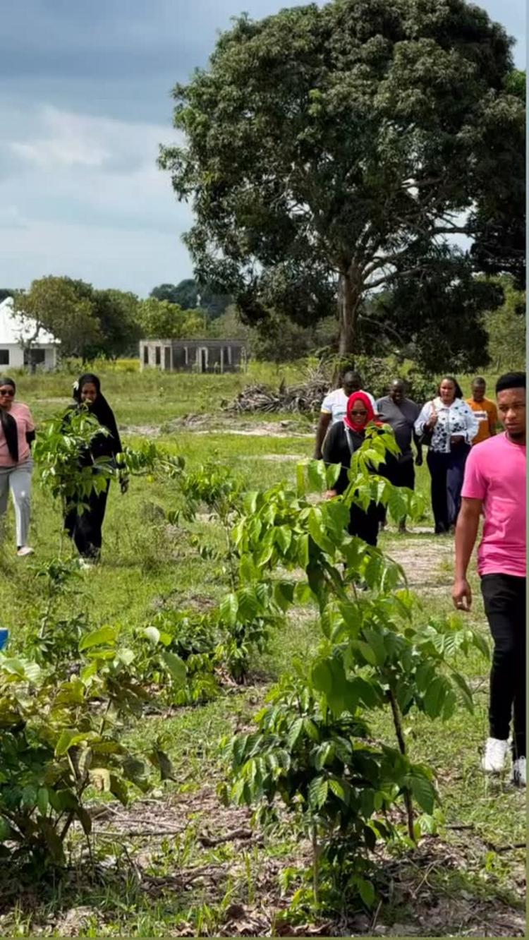 video thumbnail video thumbnail