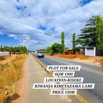 Kiwanja kinauzwa Kiseke, Mwanza sqm 1300