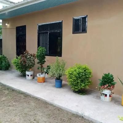 Nyumba ya chumba kimoja inapangishwa Kimara Mwisho, Dar Es Salaam Nyumba ya chumba kimoja inapangishwa Kimara Mwisho, Dar Es Salaam