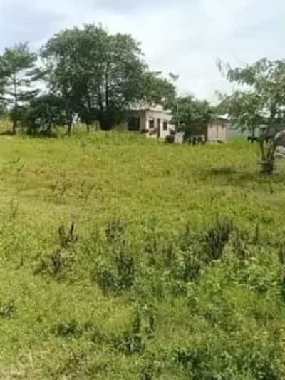 Viwanja vinauzwa Luchelele, Mwanza Viwanja vinauzwa Luchelele, Mwanza