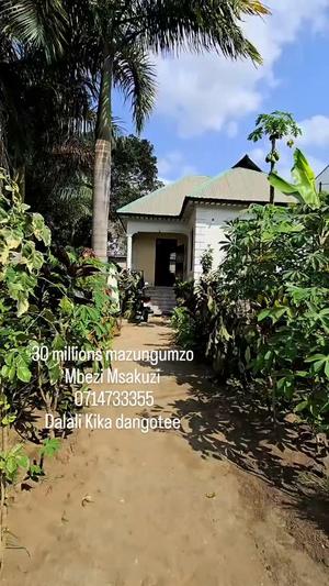 2 Bedrooms House for Sale in Mbezi Msakuzi, Dar Es Salaam (400 sqm) 2 Bedrooms House for Sale in Mbezi Msakuzi, Dar Es Salaam (400 sqm)
