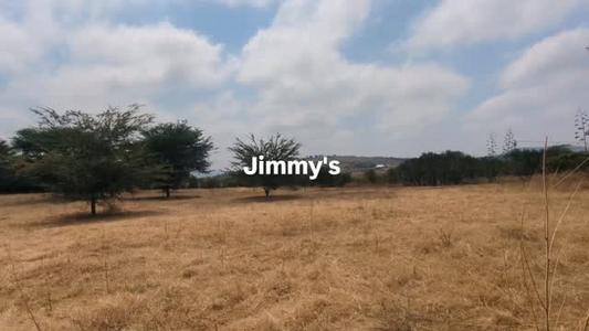 Kiwanja (Commercial Plot) kinauzwa Kisongo Waya, Arusha (3 acre)