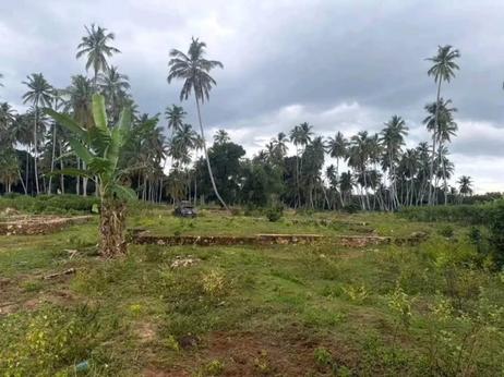 Kiwanja kinauzwa Fujoni Muembe Ndege, Zanzibar - Unguja North sqm 2040 Kiwanja kinauzwa Fujoni Muembe Ndege, Zanzibar - Unguja North sqm 2040
