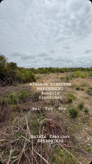 Residential Plot for Sale in Makunduchi, Zanzibar (765 sqm) Residential Plot for Sale in Makunduchi, Zanzibar (765 sqm)