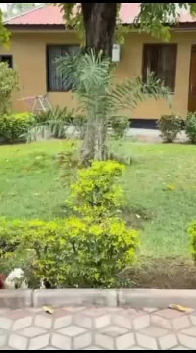 Nyumba ya vyumba viwili inapangishwa Oysterbay, Dar Es Salaam