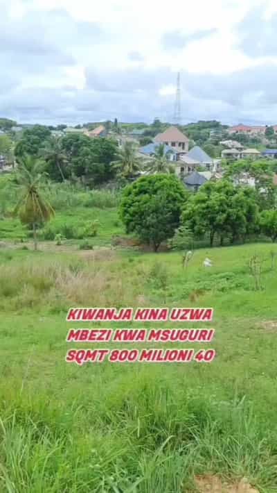 Kiwanja kinauzwa Mbezi Msuguri, Dar Es Salaam (800 sqm)