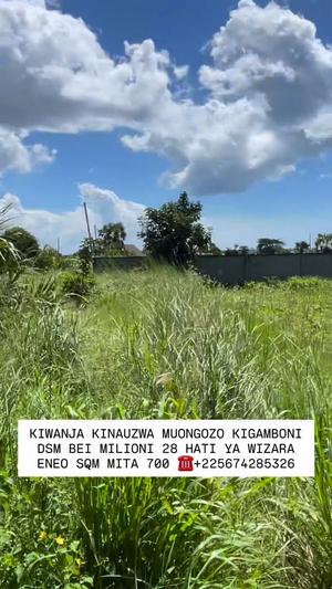 Plot for sale in Muongozo, Kigamboni, Dar Es Salaam sqm 700 Plot for sale in Muongozo, Kigamboni, Dar Es Salaam sqm 700