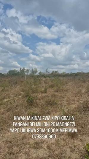 Kiwanja kinauzwa Kibaha Pangani, Pwani (1000 sqm) Kiwanja kinauzwa Kibaha Pangani, Pwani (1000 sqm)