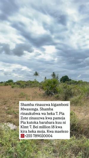 Farm for Sale in Kigamboni Mwasonga, Dar Es Salaam (7 acre) Farm for Sale in Kigamboni Mwasonga, Dar Es Salaam (7 acre)