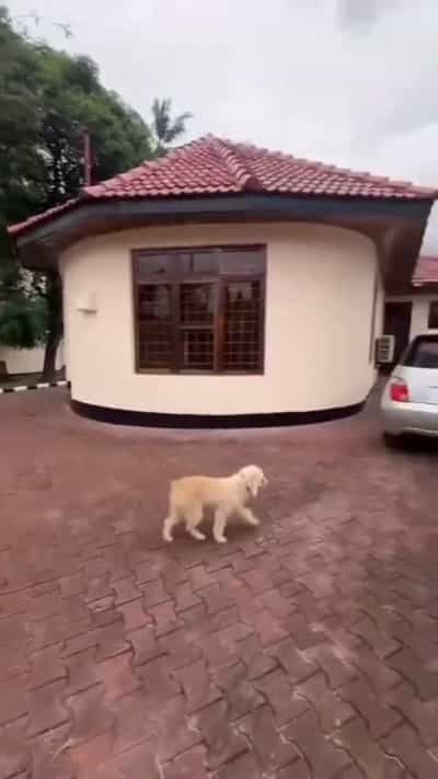 Nyumba ya vyumba vinne inauzwa Kijitonyama, Dar Es Salaam (645 sqm)