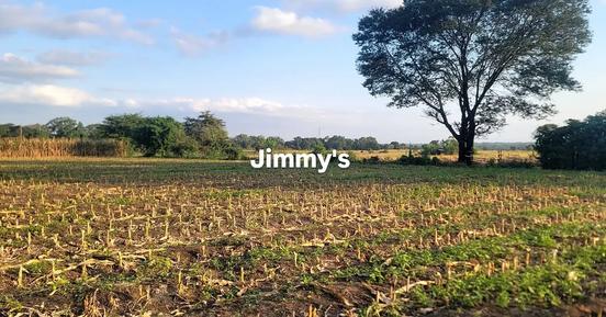 Farm for Sale in Usa River, Arusha (61 acre) Farm for Sale in Usa River, Arusha (61 acre)
