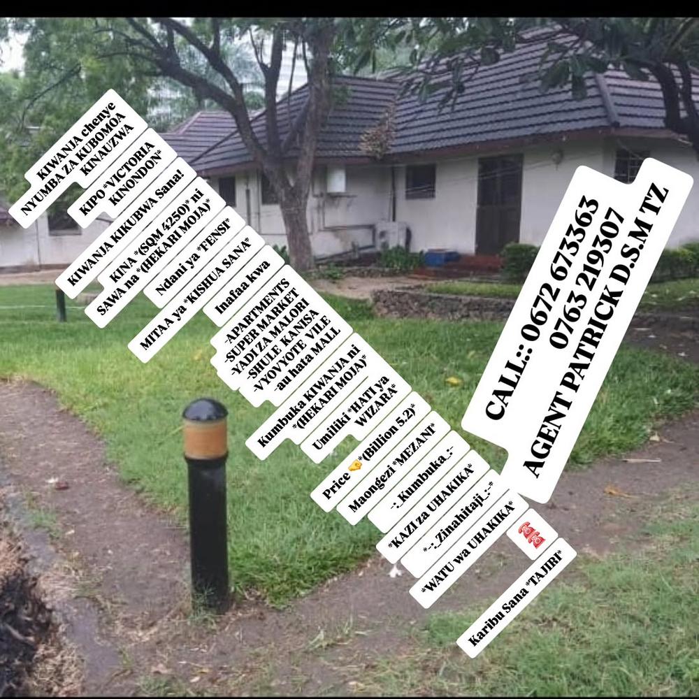 media -1 media -1
