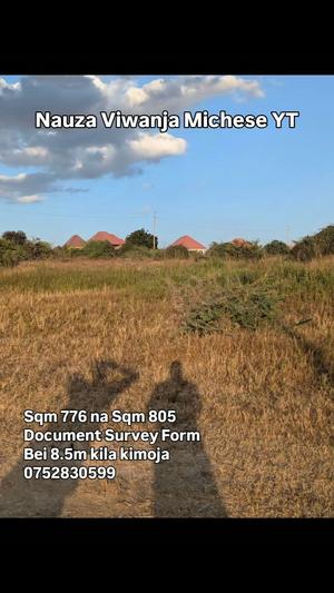 Plot for sale in Dodoma sqm 805