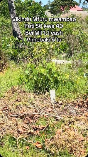 Viwanja vinauzwa Vikindu Vianzi Mfurumwambao, Pwani sqm 2000