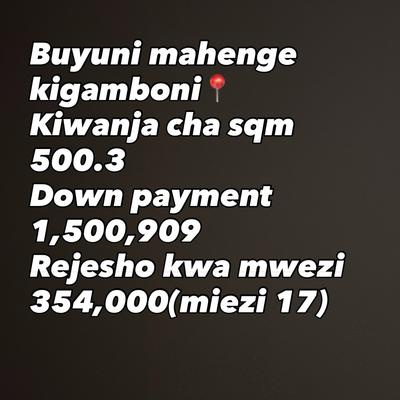 Viwanja vinauzwa Buyuni Mahenge, Dar Es Salaam (500.3 sqm) Viwanja vinauzwa Buyuni Mahenge, Dar Es Salaam (500.3 sqm)