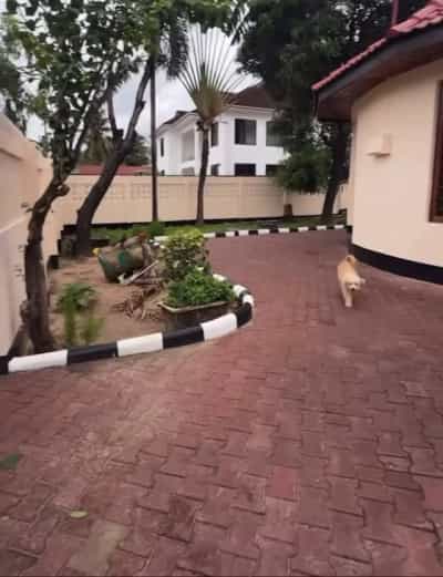 3 Bedrooms House for Sale in Kijitonyama Anna Makinda, Dar Es Salaam (652 sqm)