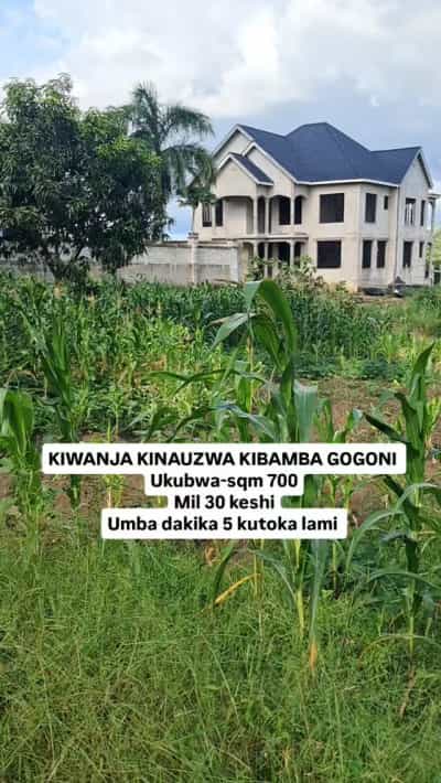 Kiwanja kinauzwa Kibamba Gogoni, Dar Es Salaam (700 sqm)