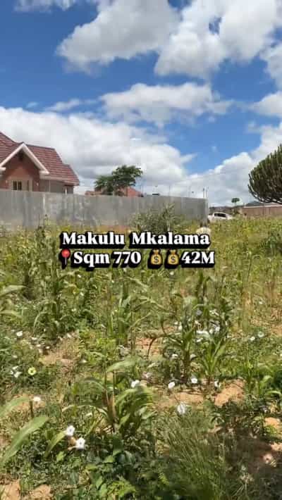 Kiwanja kinauzwa Makulu Mkalama, Dodoma (770 sqm)