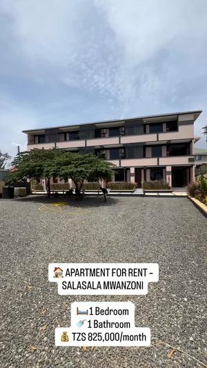 1 Bedroom Apartment for Rent in Salasala, Dar Es Salaam