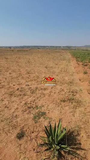 Farm for Sale in Buhare Nation Housing, Mara (1980 sqm) Farm for Sale in Buhare Nation Housing, Mara (1980 sqm)