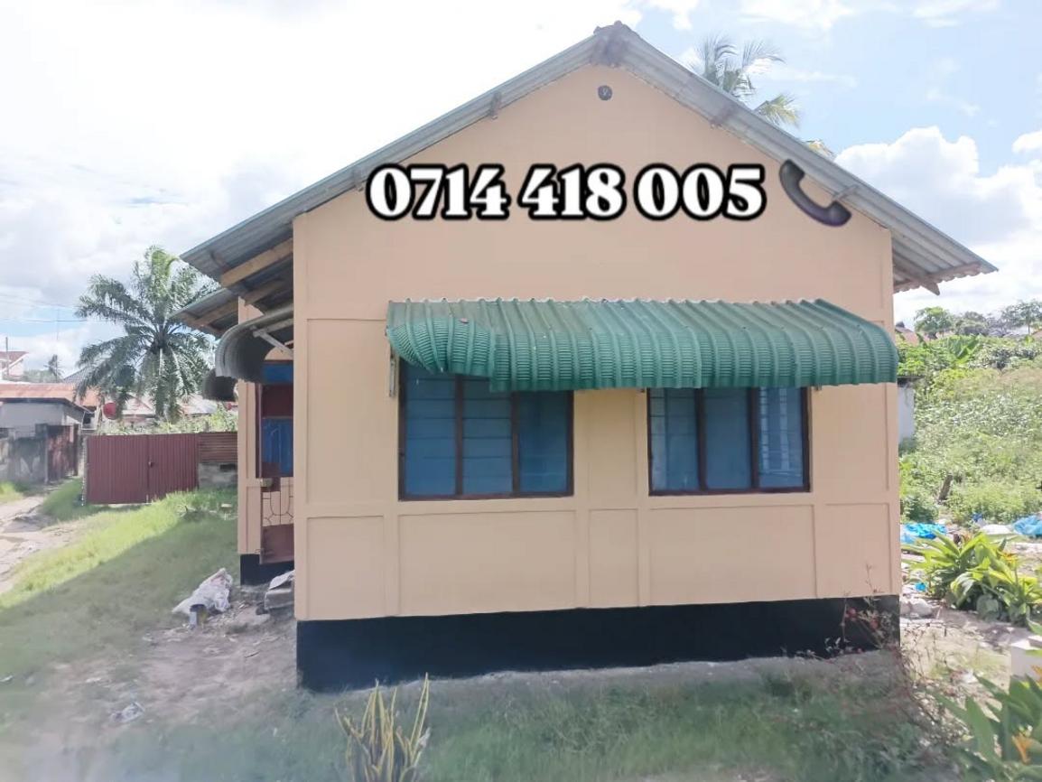 media -5