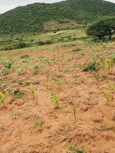 Kiwanja kinauzwa Mvumi, Morogoro (2.5 acre)