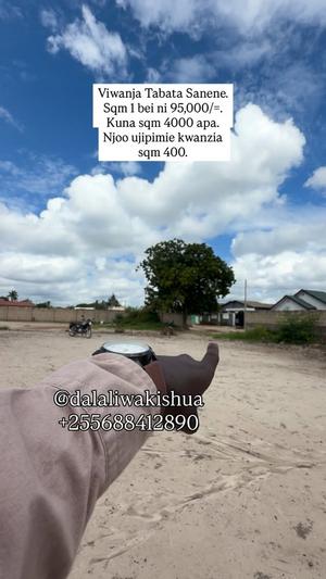Viwanja vinauzwa Tabata Sanane, Dar Es Salaam (4000 sqm)