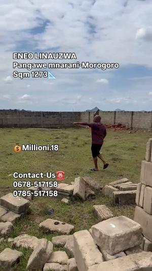 Kiwanja kinauzwa Pangani Mnara, Pwani (1273 sqm) Kiwanja kinauzwa Pangani Mnara, Pwani (1273 sqm)