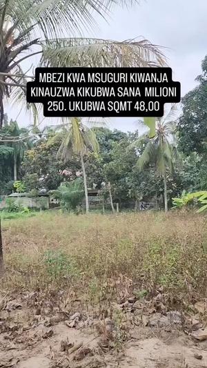 Kiwanja kinauzwa Mbezi kwa Msuguri, Dar Es Salaam (4800 sqm) Kiwanja kinauzwa Mbezi kwa Msuguri, Dar Es Salaam (4800 sqm)