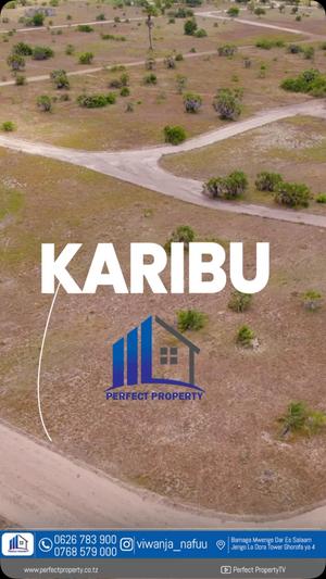 Residential Plots for Sale in Kigamboni - Kimbiji Puna, Dar Es Salaam Residential Plots for Sale in Kigamboni - Kimbiji Puna, Dar Es Salaam