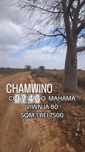 Viwanja vinauzwa Chamwino Mahama, Dodoma (500 sqm) Viwanja vinauzwa Chamwino Mahama, Dodoma (500 sqm)