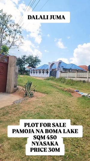 House for Sale in Nyasaka, Mwanza (450 sqm)