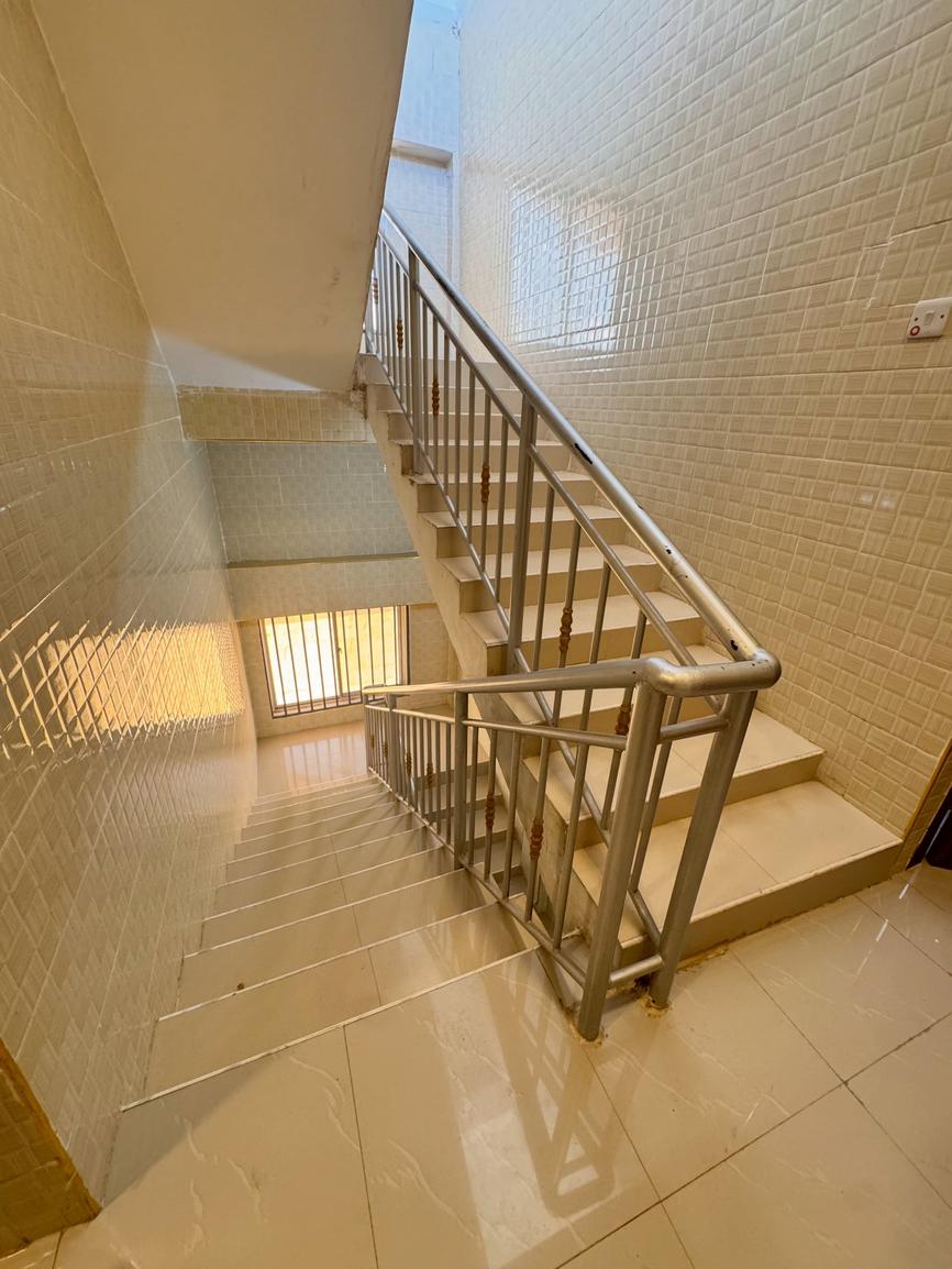 media -6