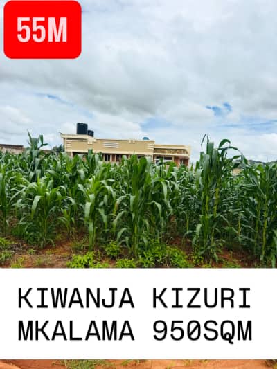 Kiwanja kinauzwa Mkalama, Morogoro