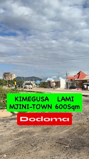 Kiwanja kinauzwa Royal Village Majengo Mapya, Dodoma sqm 600