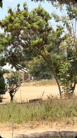 Residential/Commercial Plot for Sale in Kiloleli, Tabora (750 sqm)