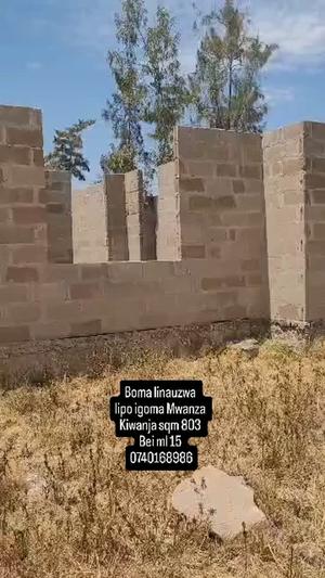 House for Sale in Igoma, Mwanza (803 sqm) House for Sale in Igoma, Mwanza (803 sqm)