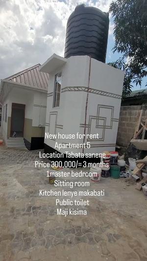 1 Bedroom Apartment for Rent in Tabata Sanene, Dar Es Salaam