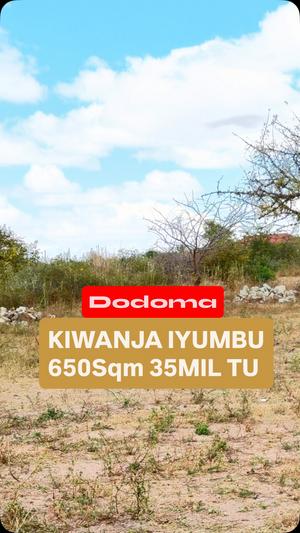 Kiwanja kinauzwa Iyumbu, Dodoma (650 sqm)