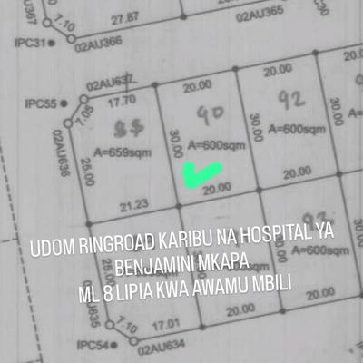 Residential Plot for Sale in UDOM Ringroad, Dodoma (600 sqm) Residential Plot for Sale in UDOM Ringroad, Dodoma (600 sqm)