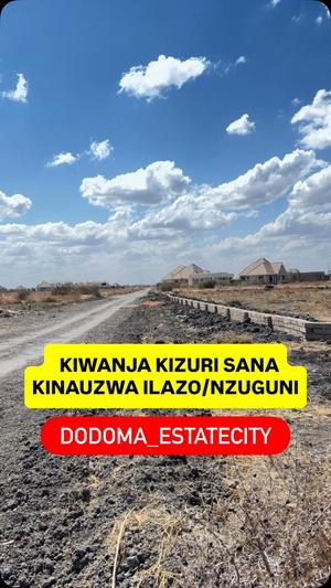 Residential Plot for Sale in Nzuguni, Dodoma (1000 sqm)