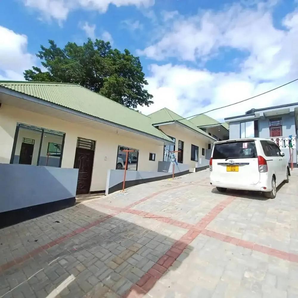 media -6 media -6